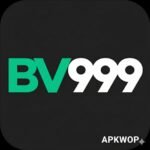 BV999 Game